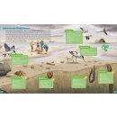 BOOKii® Im Meer und an der Küste