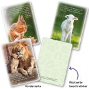 Karten-Box - Munter und mutig auf deinem Weg