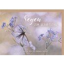 Faltkarte - Schmetterling