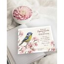 Postkarte - Blaumeise