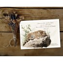 Postkarte - Wildkatze