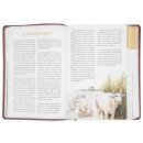 Andachten für die ganze Familie