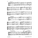 Lern Querflöte spielen - Band 2 + CD (Br.)