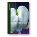 Denn sie werden Gott schauen