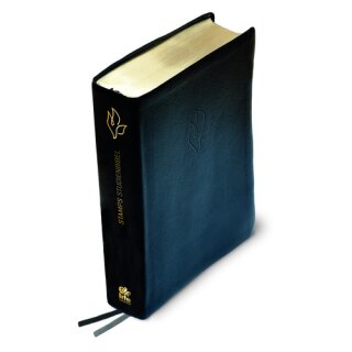 STAMPS Studienbibel mit Goldschnitt