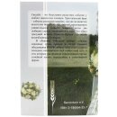 Мелодия любви