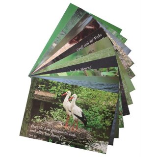 Postkarten mit Tiermotiven