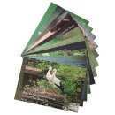 Postkarten mit Tiermotiven