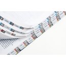 Das Bibel-Griffregister mit Symbolen