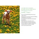 Grußheft - Psalm 23