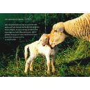 Grußheft - Psalm 23