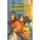 Die Kaminski-Kids: Gefährliches Spiel