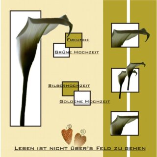 CD Leben ist nicht über´s Feld zu gehen