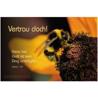 CD-Card zum Geburtstag