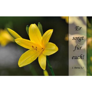 Faltkarte - Er sorgt für euch!