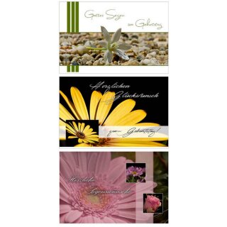 Faltkarten zum Geburtstag - 3er-Set