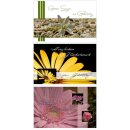 Faltkarten zum Geburtstag - 3er-Set