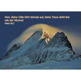 Postkarte - Deine Güte hört nie auf!