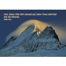 Postkarte - Deine Güte hört nie auf!