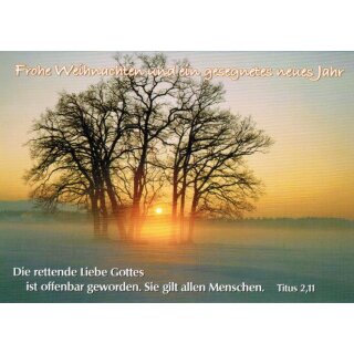 Postkarte - Weihnachten und Neujahr