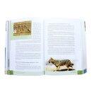 Das illustrierte Handbuch zur Bibel