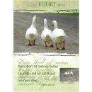 Postkarte - Gänse