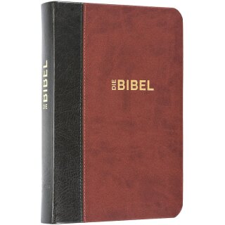 Schlachter 2000 Taschenausgabe Goldschnitt grau braun