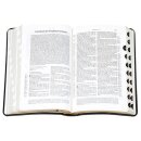 Schlachter 2000 - Griffregister - mit Produktionsmangel