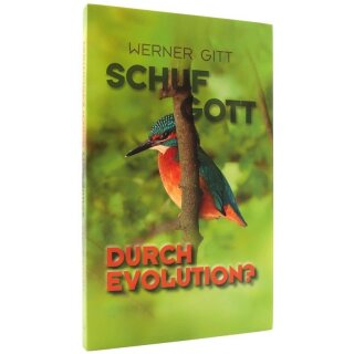 Schuf Gott durch Evolution?