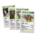 Das Tierreich des Schöpfers - Kartenspiel