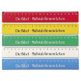 Lineal 20 cm in 5 Farben