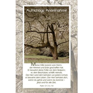 Klappkarte A6 Trauer - Baum in Blüte, mit Umschlag und Folientasche