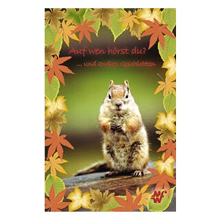 Buch auf wen hörst du 12 Kindergeschichten