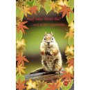 Buch auf wen hörst du 12 Kindergeschichten