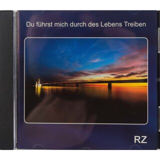 Cover der CD Du führst mich durch des Lebens Treiben