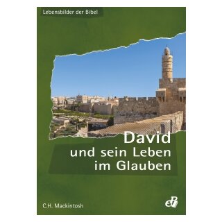 Buch David und sein Leben im Glauben