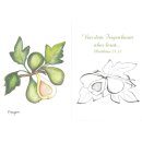 Ansicht Feigen mit dem Vers aus Matthäus 24 32