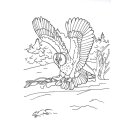 Bild Eule geht auf Mäuse jagt