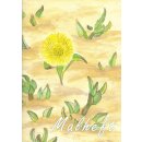 Malheft Wüstenbilder