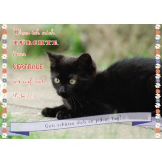 Postkarte Psalm 56,4