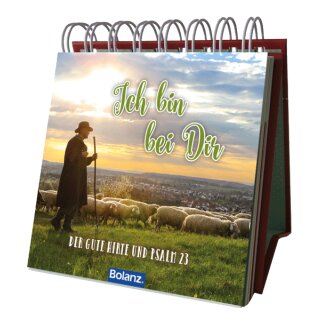 Hirte mit Schafsherde