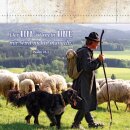 Hirte mit Schafsherde und Hund